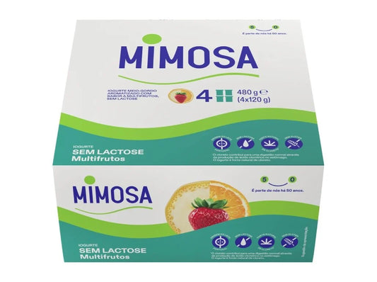 Iogurte Multifrutos S/lactose Mimosa 4x