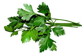 Salsa