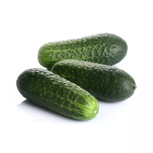 Pepino Curto