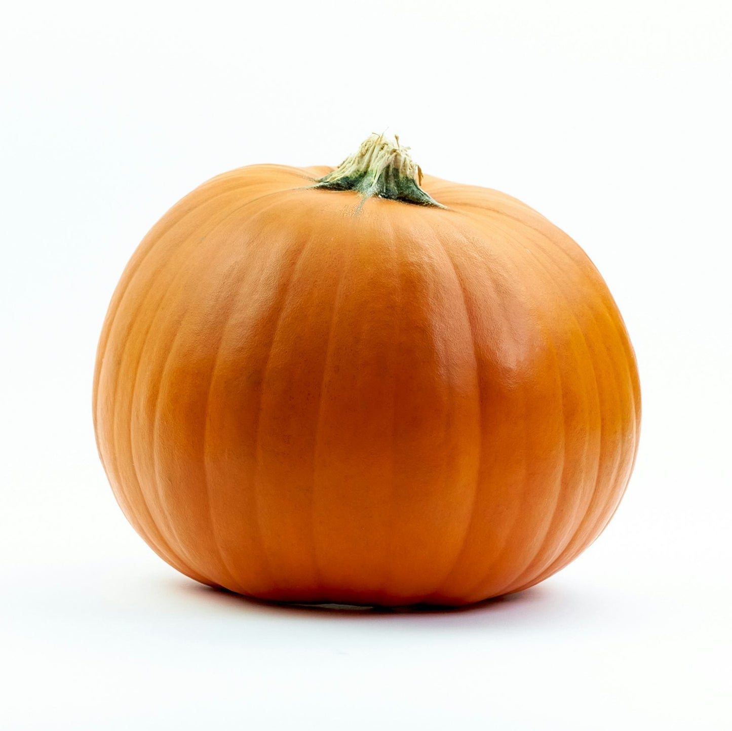 Abobora Laranja