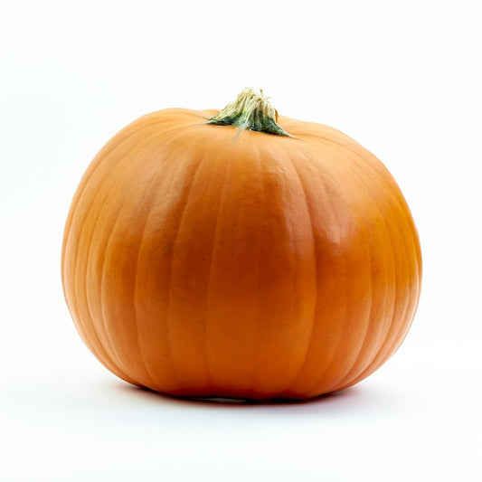 Abobora Laranja