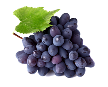 Uva Preta Moscatel